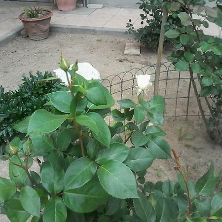 Perbacco Bed & Breakfast Sartirana Lomellina Exterior photo